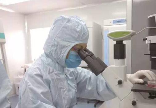 新突破：全球首个利用免疫细胞疗法治疗卵巢癌效果显著