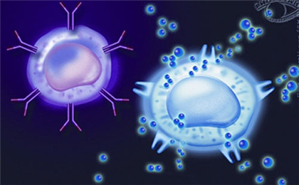 论免疫细胞对人类有多重要——免疫细胞的应用范围与效果