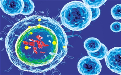 CAR-T免疫细胞疗法，拉开与实体肿瘤的战争序幕