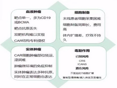 血液大咖王建祥教授成立中国免疫细胞治疗协作组，推动细胞治疗蓬勃发展