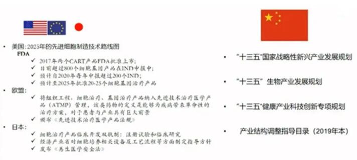 中国医学科学院：中国免疫细胞治疗协作组成立及规划