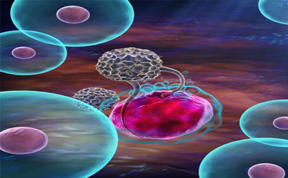 抗癌先锋NK细胞，免疫细胞疗法中的新星