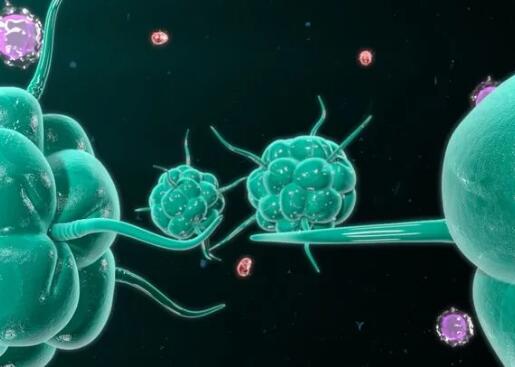 用自己的细胞杀死肿瘤，新型抗癌疗法在国内启动临床研究