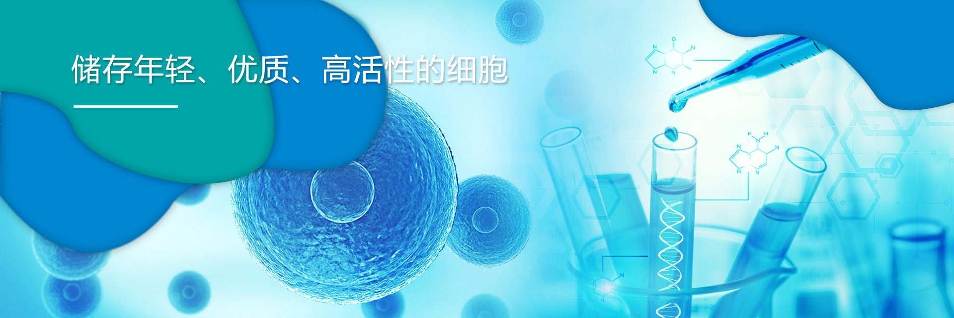 免疫细胞治疗